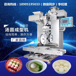 江蘇南京威利朗食品機械 專業直銷多功能湯圓機、清明果機與米團子機，售后保障完善