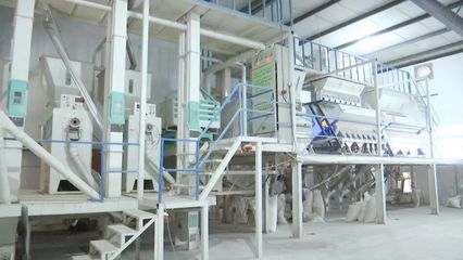 “碰網(wǎng)觸電”拓銷路，黃陂大米借力電商升級(jí)設(shè)備銷售